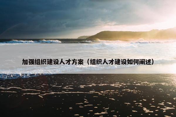 加强组织建设人才方案（组织人才建设如何阐述）