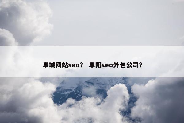 阜城网站seo？ 阜阳seo外包公司？