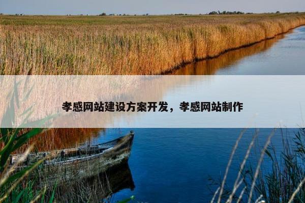 孝感网站建设方案开发，孝感网站制作