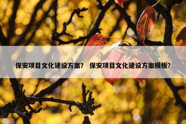 保安项目文化建设方案？ 保安项目文化建设方案模板？