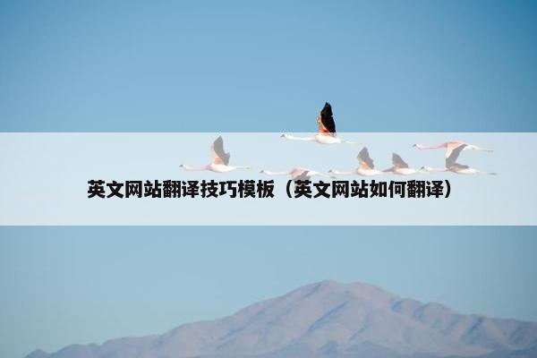 英文网站翻译技巧模板（英文网站如何翻译）