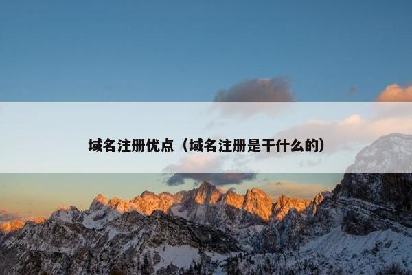 域名注册优点（域名注册是干什么的）