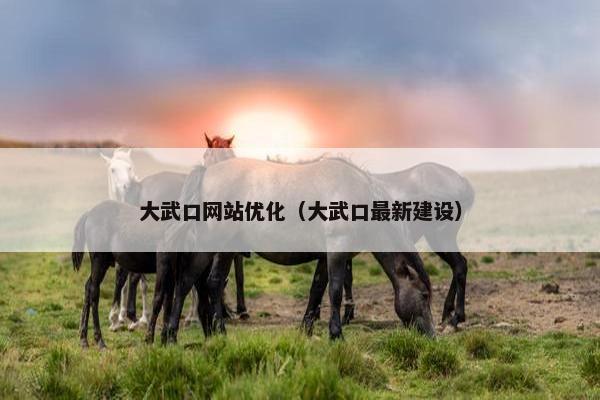 大武口网站优化（大武口最新建设）