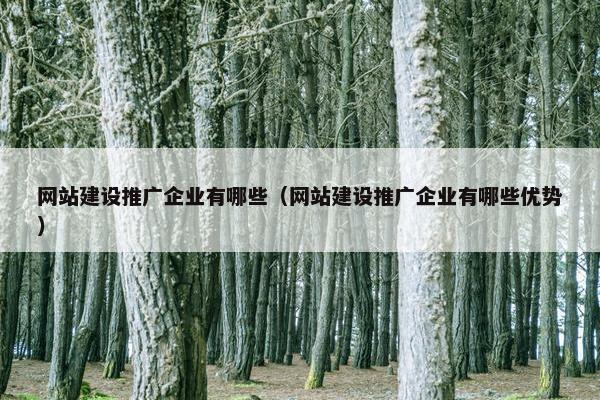 网站建设推广企业有哪些（网站建设推广企业有哪些优势）