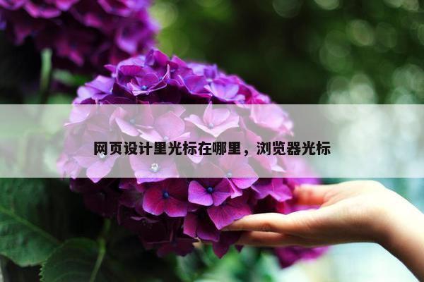 网页设计里光标在哪里，浏览器光标