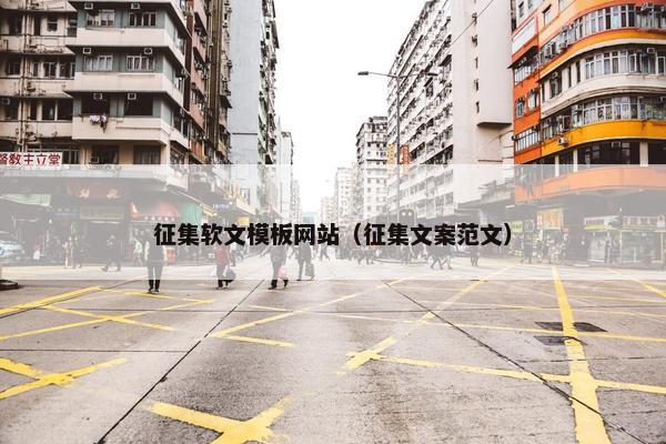 征集软文模板网站（征集文案范文）