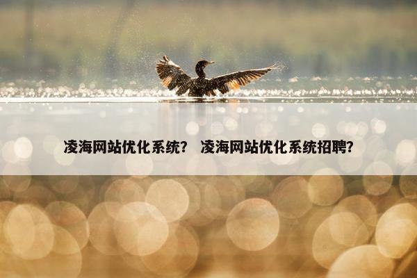 凌海网站优化系统？ 凌海网站优化系统招聘？