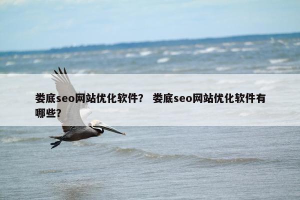娄底seo网站优化软件？ 娄底seo网站优化软件有哪些？