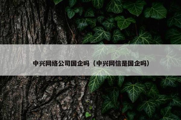 中兴网络公司国企吗（中兴网信是国企吗）