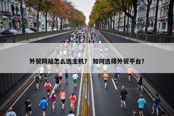 外贸网站怎么选主机？ 如何选择外贸平台？