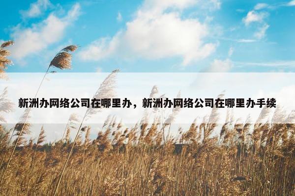 新洲办网络公司在哪里办，新洲办网络公司在哪里办手续