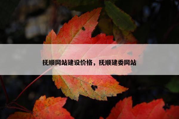 抚顺网站建设价格，抚顺建委网站