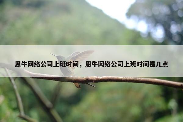 恩牛网络公司上班时间，恩牛网络公司上班时间是几点
