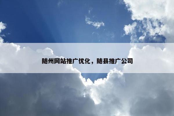 随州网站推广优化，随县推广公司