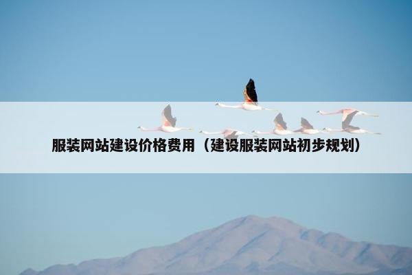 服装网站建设价格费用（建设服装网站初步规划）