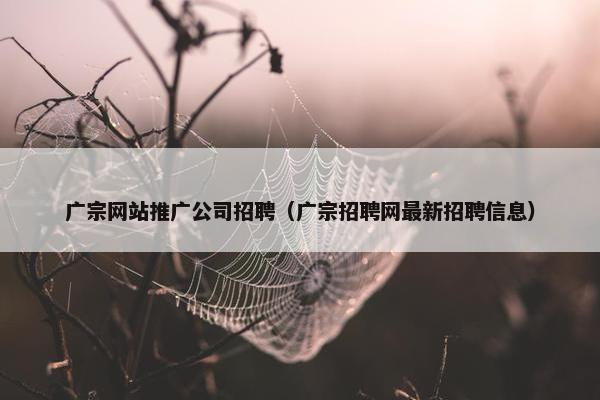 广宗网站推广公司招聘（广宗招聘网最新招聘信息）