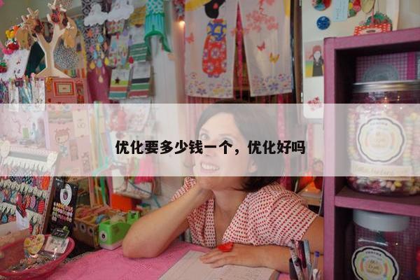 优化要多少钱一个，优化好吗