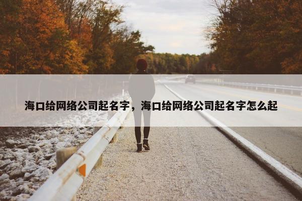 海口给网络公司起名字，海口给网络公司起名字怎么起