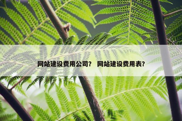 网站建设费用公司？ 网站建设费用表？