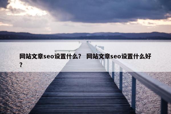网站文章seo设置什么？ 网站文章seo设置什么好？