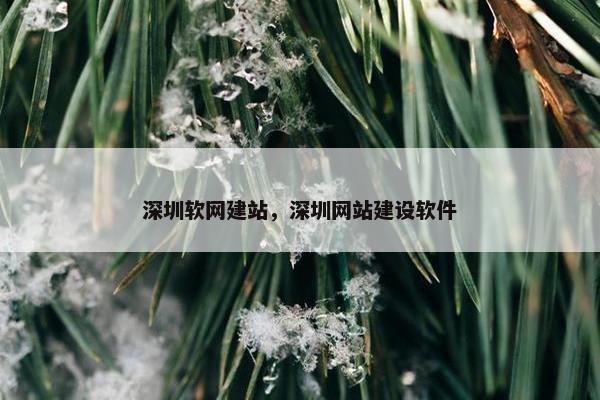 深圳软网建站，深圳网站建设软件