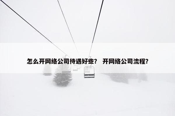 怎么开网络公司待遇好些？ 开网络公司流程？
