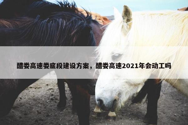 醴娄高速娄底段建设方案，醴娄高速2021年会动工吗