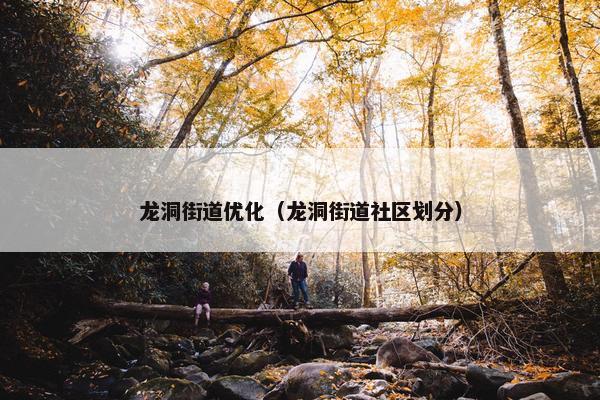 龙洞街道优化（龙洞街道社区划分）