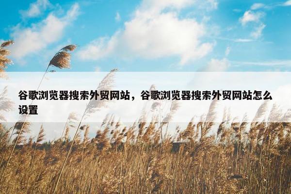 谷歌浏览器搜索外贸网站，谷歌浏览器搜索外贸网站怎么设置