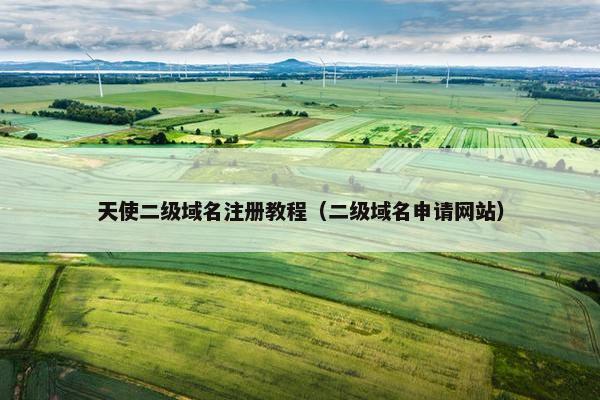 天使二级域名注册教程（二级域名申请网站）