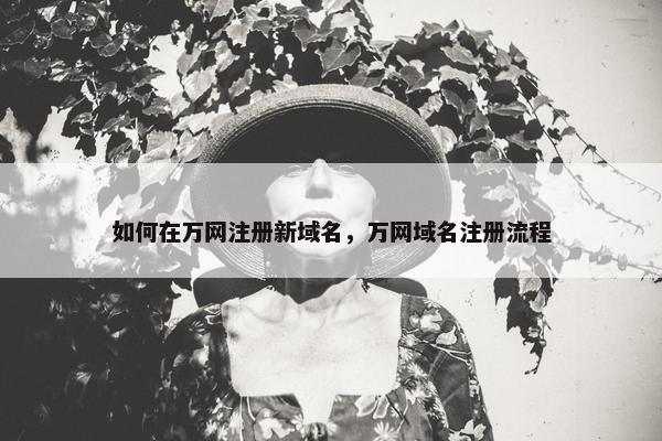 如何在万网注册新域名，万网域名注册流程