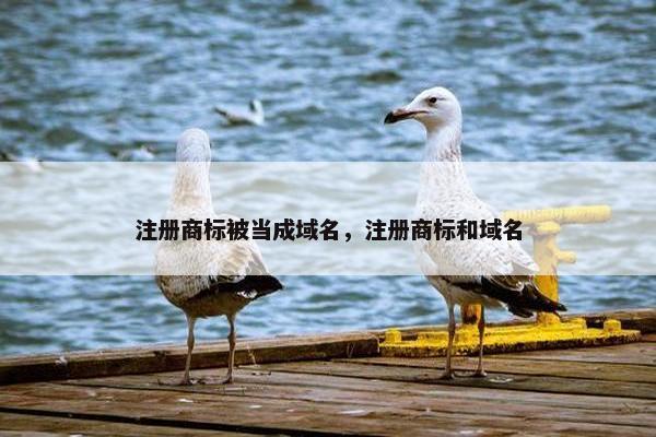注册商标被当成域名，注册商标和域名