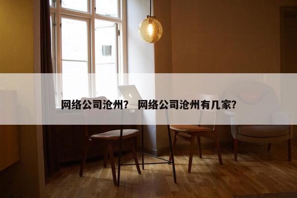 网络公司沧州？ 网络公司沧州有几家？