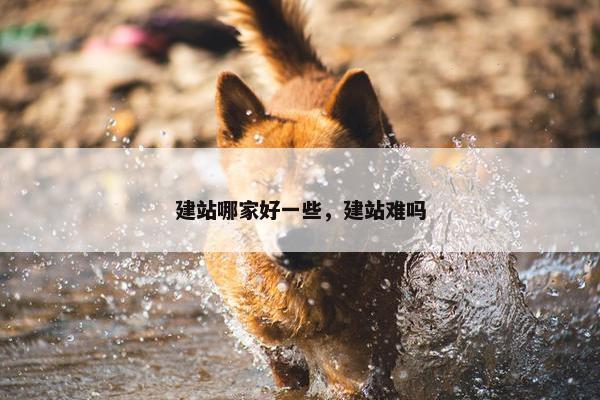 建站哪家好一些，建站难吗