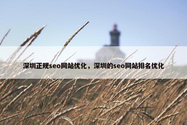 深圳正规seo网站优化，深圳的seo网站排名优化