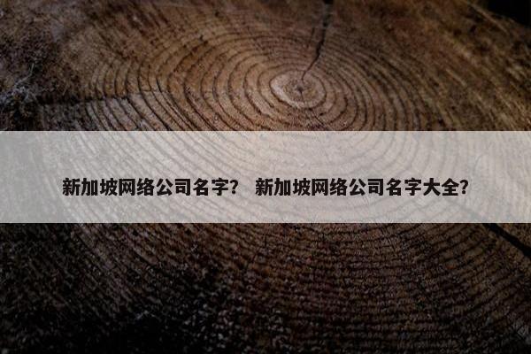新加坡网络公司名字？ 新加坡网络公司名字大全？