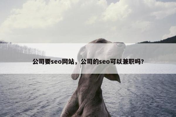 公司要seo网站，公司的seo可以兼职吗?