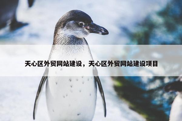 天心区外贸网站建设，天心区外贸网站建设项目