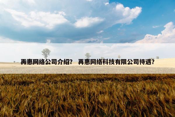 再惠网络公司介绍？ 再惠网络科技有限公司待遇？
