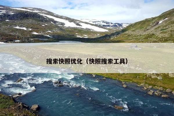 搜索快照优化（快照搜索工具）