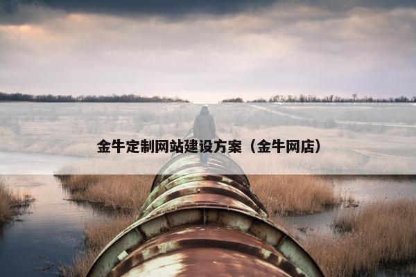 金牛定制网站建设方案（金牛网店）