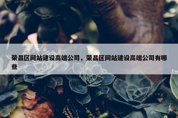 荣昌区网站建设高端公司，荣昌区网站建设高端公司有哪些