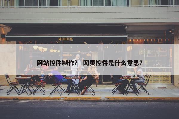 网站控件制作？ 网页控件是什么意思？