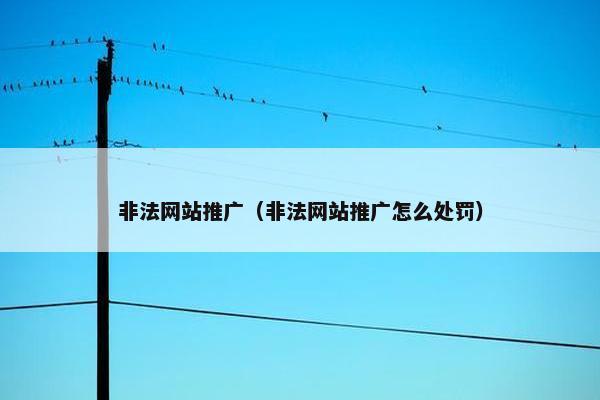 非法网站推广（非法网站推广怎么处罚）