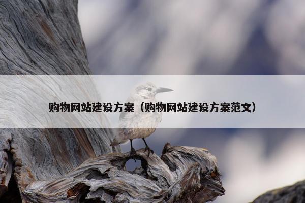购物网站建设方案（购物网站建设方案范文）
