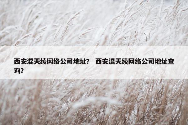 西安混天绫网络公司地址？ 西安混天绫网络公司地址查询？