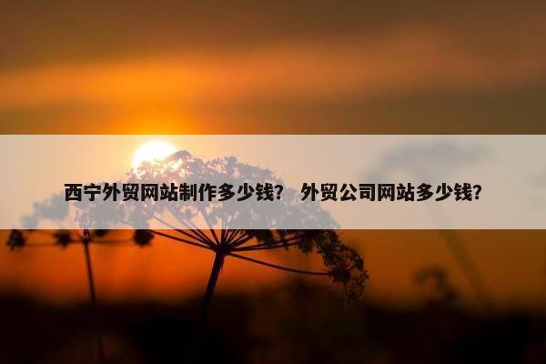 西宁外贸网站制作多少钱？ 外贸公司网站多少钱？