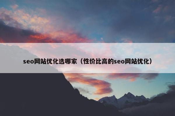 seo网站优化选哪家（性价比高的seo网站优化）