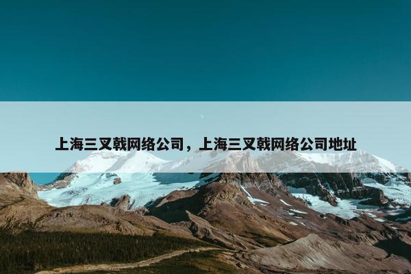 上海三叉戟网络公司，上海三叉戟网络公司地址