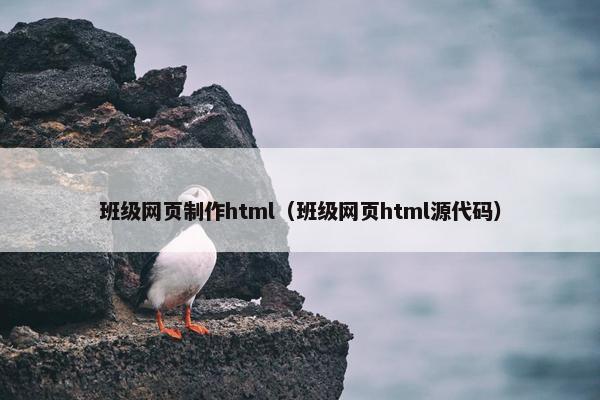 班级网页制作html（班级网页html源代码）